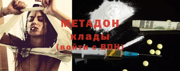 прущие грибы Няндома